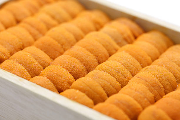 japanese green sea urchin roe, ezo bafun uni, sushi and sashimi ingredients