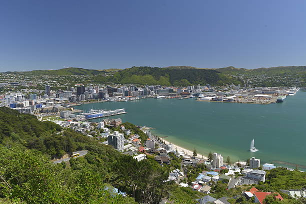 istock Wellington New Zealand Panorama High Resolution 476021872