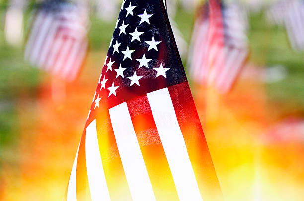 istock American Flags in Cemetery Military Section 476025858