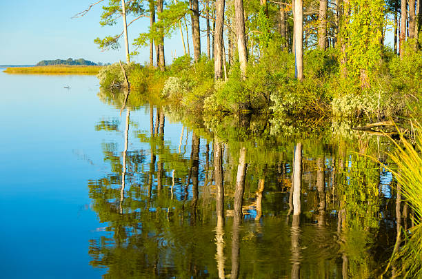 istock Blackwater National Wildlife Refuge - Blue Sky and Reflections 476026310