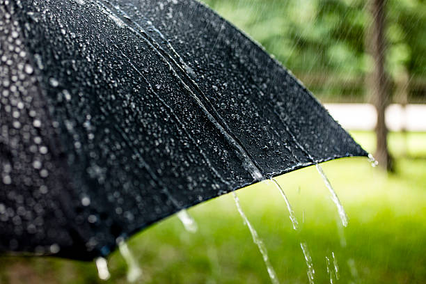 Rainy day. Raindrops falling on black umbrella outdoors. Spring, summer. It is a rainy day. Raindrops falling on top of a black umbrella outdoors in the spring or summer season. Rain pours off the top of the umbrella and more raindrops fall from the sky.  The background is a nature scene with green grass and trees. Weather concepts. garden accessories stock pictures, royalty-free photos & images