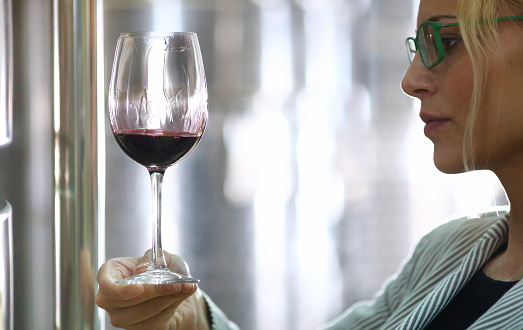 Closeup of adult caucasian woman holding a glass of red wine and analyzing the wine. Looking at thin layer of wine on the edges of the glass. Thicker the layer the wine cointains more alcohol. There are metal tanks in background.