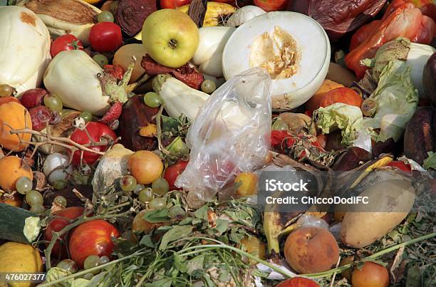 Foto de Rotten Pedaços De Frutas Verduras E Legumes e mais fotos de stock de Abobrinha - Abobrinha, Agricultura, Apodrecer