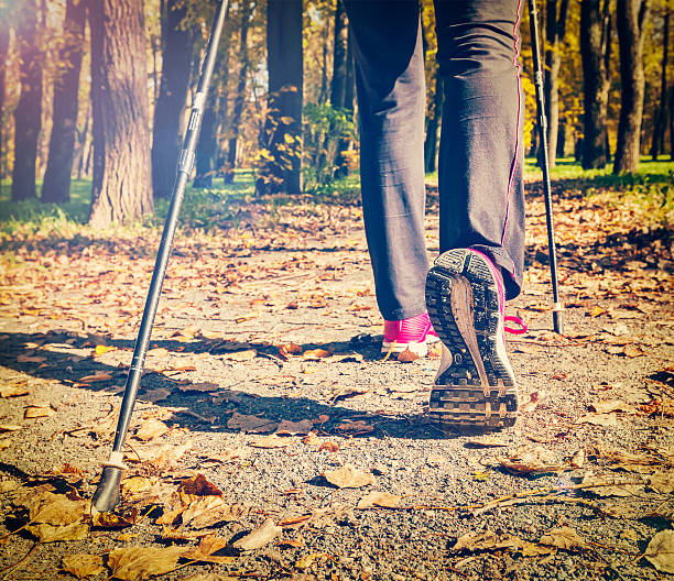 노르딕 산책용 - nordic walking walking relaxation exercise women 뉴스 사진 이미지