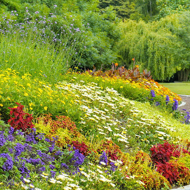 istock background of bright garden flowers 476028388