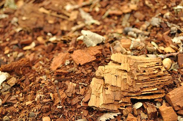 istock Texture of wooden fragments 476028727