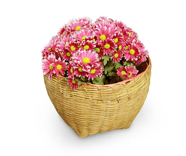 flores en la cesta aislado en blanco - hanging flower basket isolated fotografías e imágenes de stock