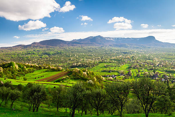 Maramures Landscape Landscape in Maramures, Romania. Green pastures with trees, a village and a mountain in the background maramureș stock pictures, royalty-free photos & images