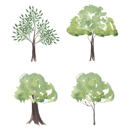 Vector set of watercolor trees. Different Silhouettes Trees of Landscape. Nature for your design. Eco Tree Grunge Natural Vector Concept on a isolated backroup