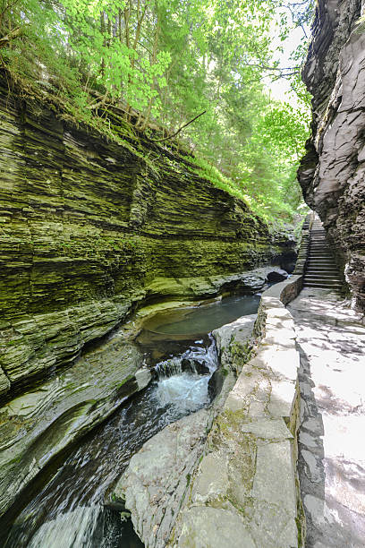 watkins glen state park, new york - watkins glen foto e immagini stock