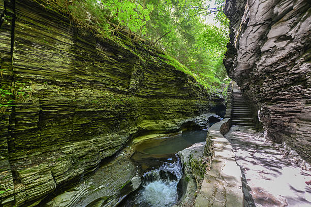 istock Watkins Glen State Park, New York 476033299