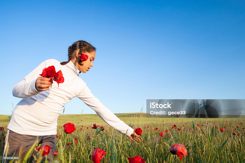 Girl in the Poppy Field 2015 Stock Photo