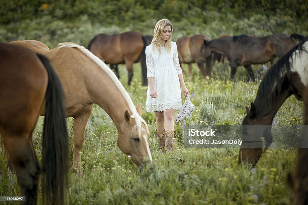 Chica joven con caballos en un campo - Foto de stock de 20 a 29 años libre de derechos