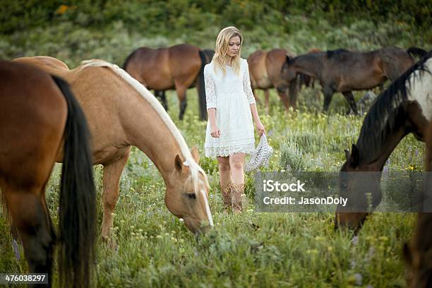 若い女の子と馬のフィールド - 1人のストックフォトや画像を多数ご用意 - 1人, 20代, ウェスタン