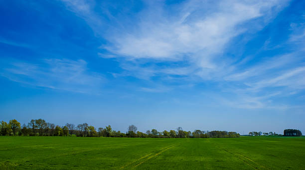 istock An image of plant 476038651