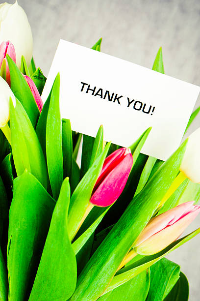 istock Vibrant Tulips with Thank You Message 476039099