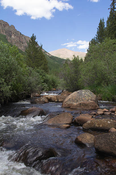 istock Mountain Creek in Colorado 476039693