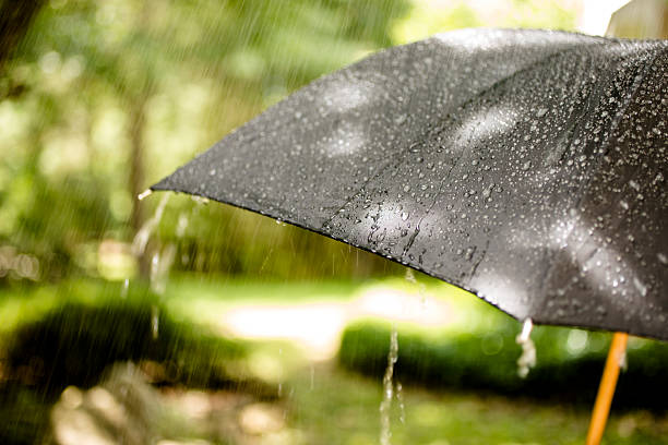 It is a rainy day. Raindrops falling on top of a black umbrella outdoors in the spring or summer season. Rain pours off the top of the umbrella and more raindrops fall from the sky.  The background is a nature scene with green grass and trees. Weather concepts.