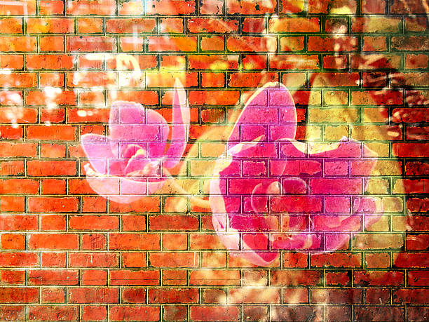 istock Orchid Flower on Red Brick wall texture 476041234
