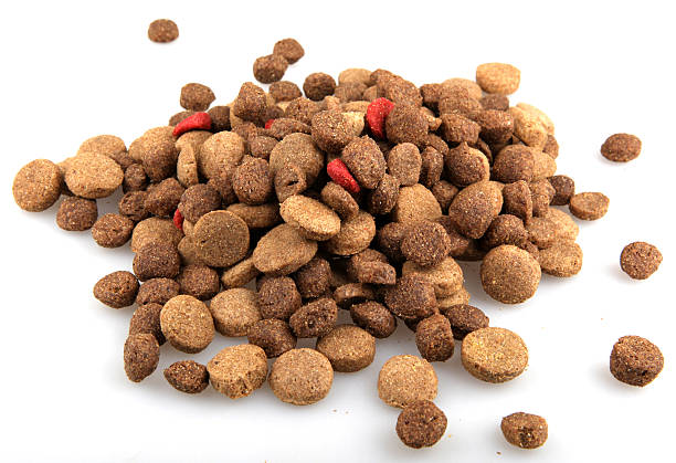 istock Dry Pet Food 476043303
