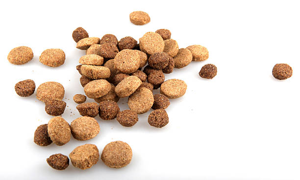 istock Dry Pet Food 476043305