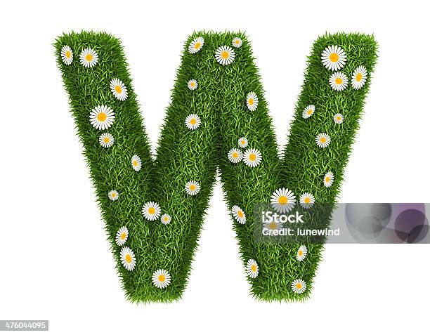 Natural Grass Letter W Stock Photo - Download Image Now - Alphabet, Beauty In Nature, Chamomile