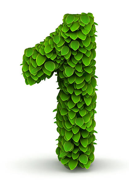 istock Number 1, green leaves font 476046241