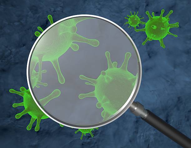 vírus e bactérias ilustração 3d com ampliador. - bacterium virus magnifying glass green - fotografias e filmes do acervo