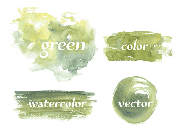 wektor zestaw zielony wodne wodne miejsca - grunge drawing illustration and painting pencil drawing stock illustrations