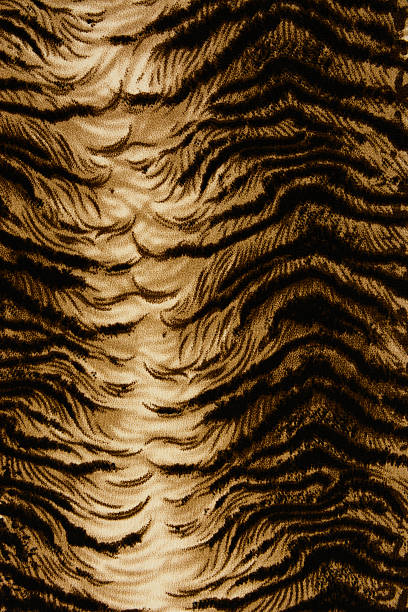 istock texture of print fabric striped leopard for background 476056372