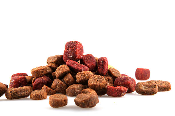 istock Dry Pet Food 476058147