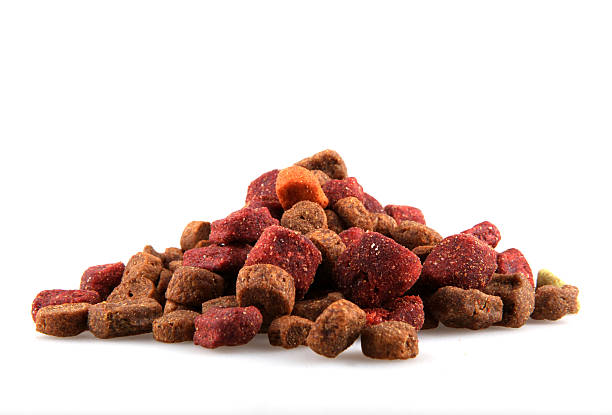 istock Dry Pet Food 476058595
