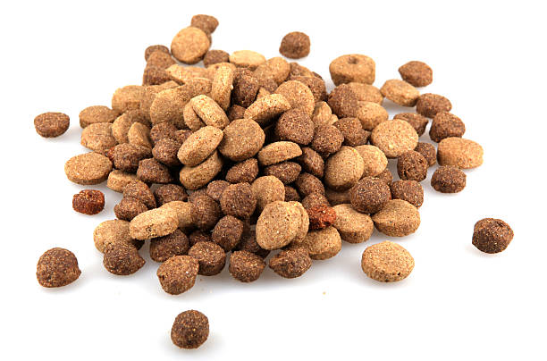 istock Dry Pet Food 476059051