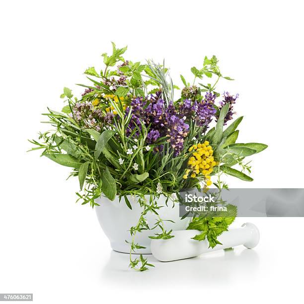 Plantas Aromáticas Em Bloom - Fotografias de stock e mais imagens de Erva Cidreira Verdadeira - Erva Cidreira Verdadeira, Folha de menta - Culinária, Lavanda - Planta