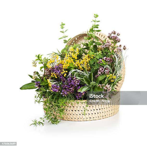 Plantas Aromáticas Em Bloom - Fotografias de stock e mais imagens de Alecrim - Alecrim, Alimentação Saudável, Bouquet