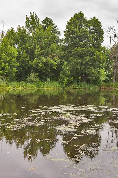 istock River Ros summer cloudy landscape, Ukraine 476063975