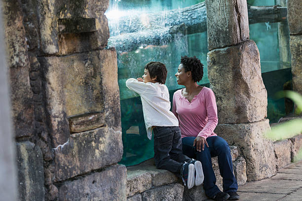 istock Mother and son at the zoo 476064805
