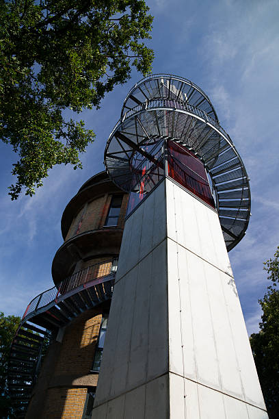 o biorama torre de observação - schorfheide imagens e fotografias de stock