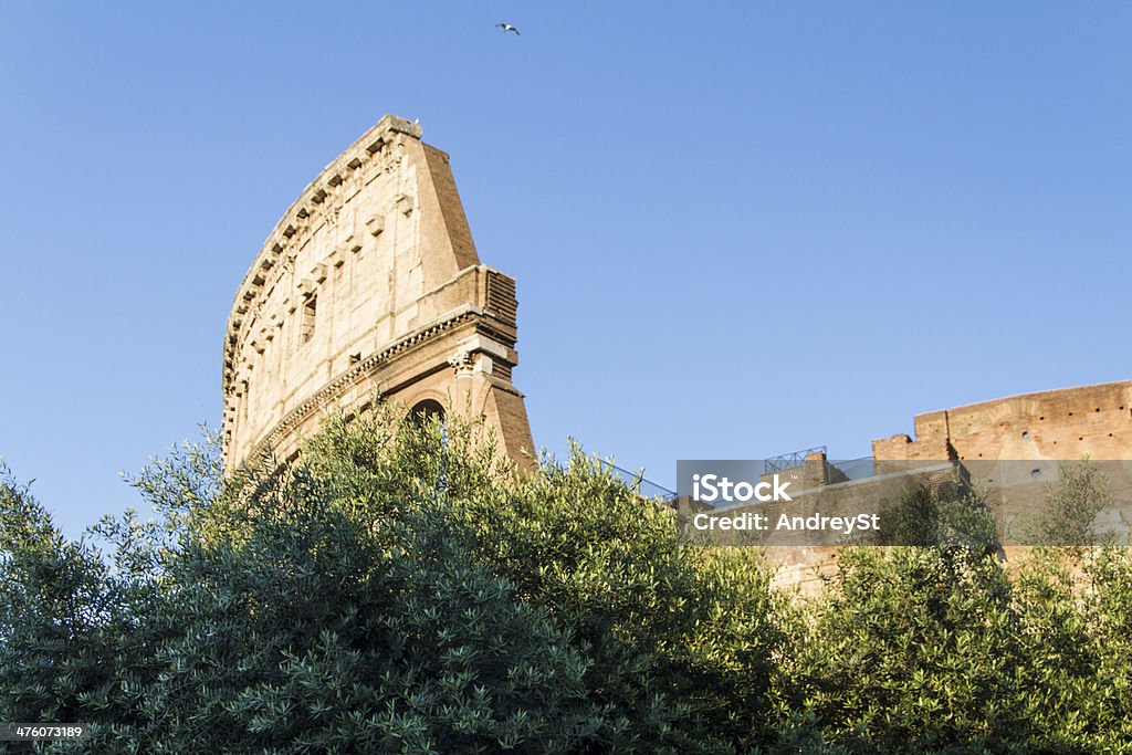 Colosseum in Rome, Italy - Foto de stock de Anfiteatro libre de derechos