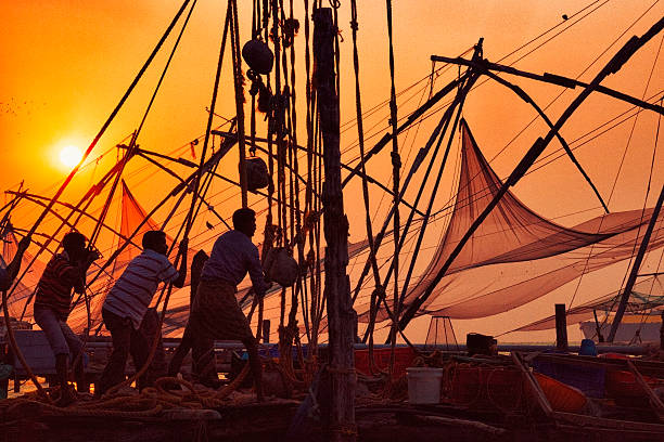 Fishermen hauling net in Kochi, India Kochi, Kerala, India - March 19, 2015. A group of men hauling in a Chinese fishing net at sunset in Kochi, India. cochin kerala india chinese fishing net stock pictures, royalty-free photos & images