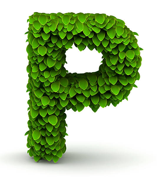 istock Leaves font letter P 476078499