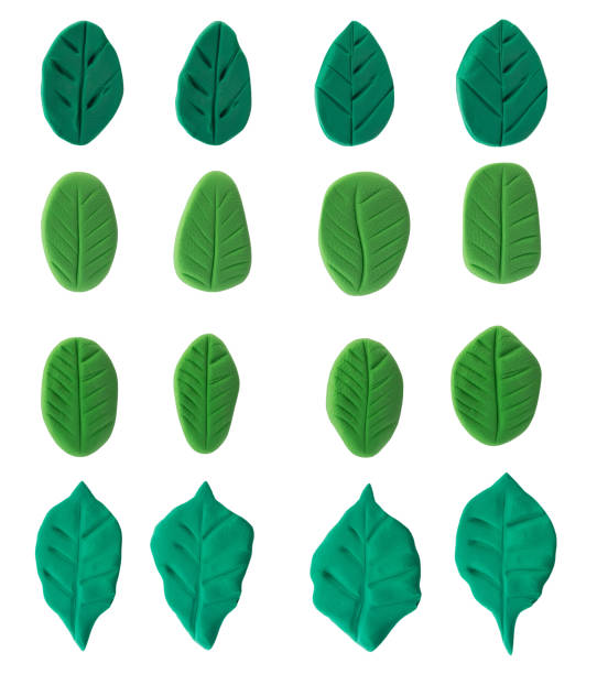 Set of green leaf made from plasticine