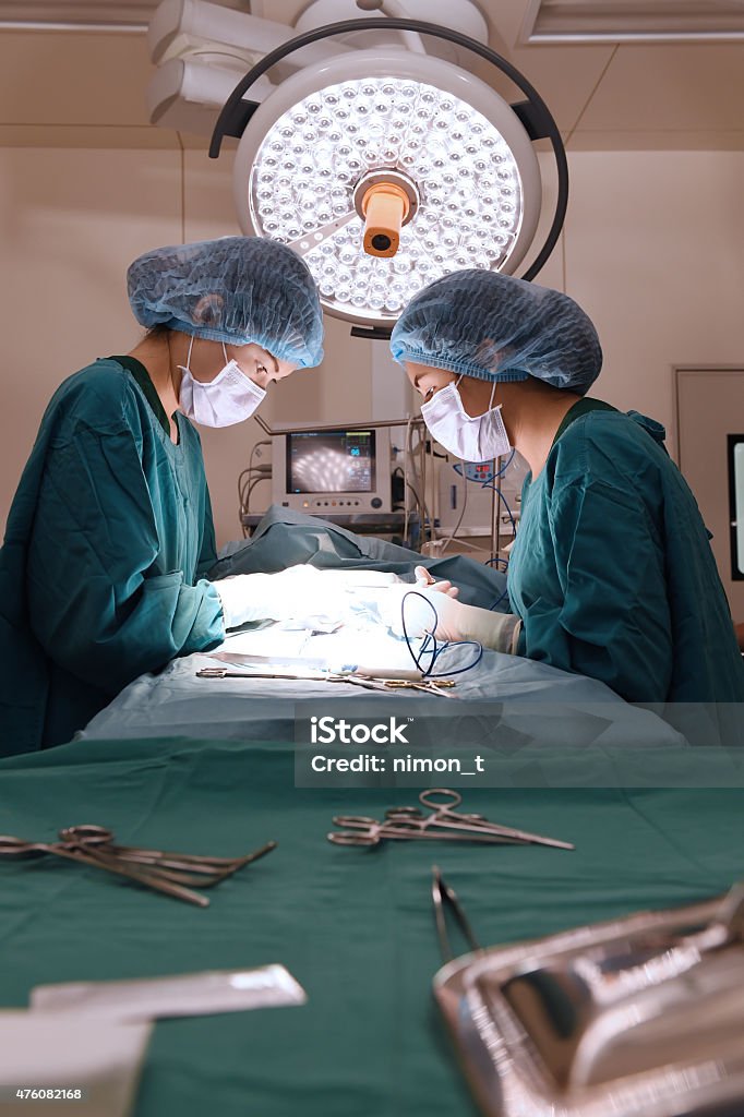 two veterinarian surgeons in operating room two veterinarian surgeons in operating room at hospital Operating Room Stock Photo