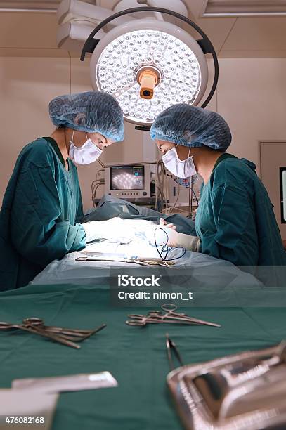 Two Veterinarian Surgeons In Operating Room Stock Photo - Download Image Now - Operating Room, Portrait, Veterinarian