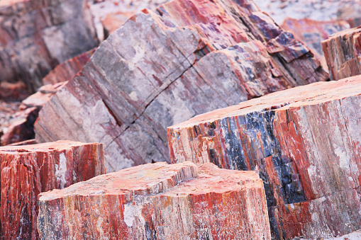 Triassic petrified wood fossils, crystals, minerals and rock types in the Petrifed Forest National Park, Arizona, 2015.