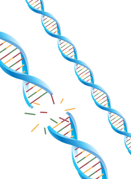 molekulová dna - rozbitý poškození stock ilustrace