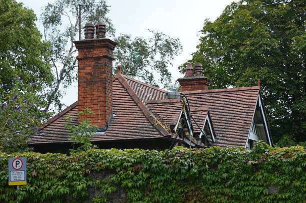 Rooftop in the forest Rooftop in the forest. This building has a residential use only. Dublin, Ireland. driveway colonial style house residential structure stock pictures, royalty-free photos & images
