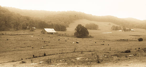 Rural Kentucky farm during a foggy afternoon stock photo