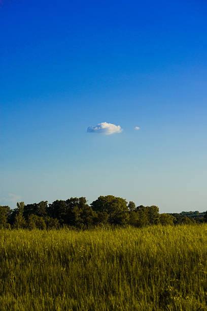 Single lone cumulous cloud over Minnesota field stock photo