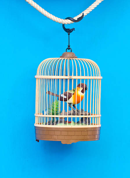 istock Birdcage with artificial colorful bird isolated on blue. 476085293